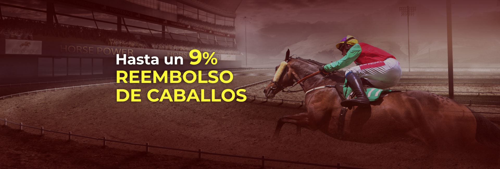 Bono caballos